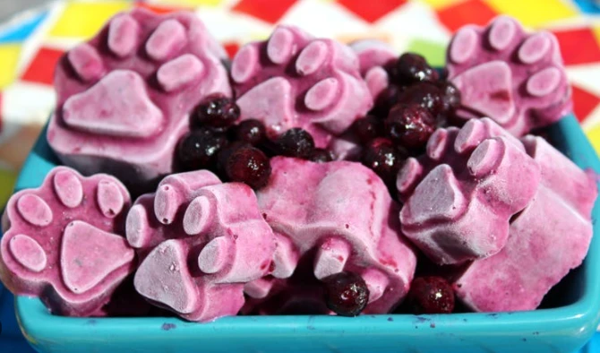 Freeze Dried Blueberry Powder Pet Yogurt Freeze Dried Blueberry Powder Pet Yogurt