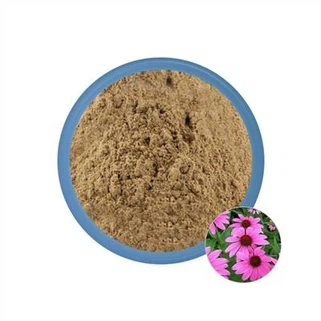 Echinacea Extract