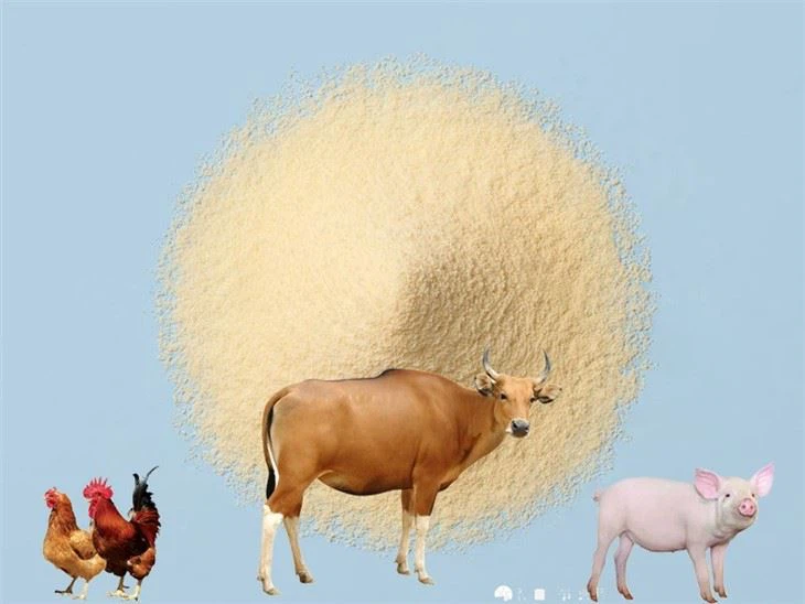 Sweet Whey Powder
