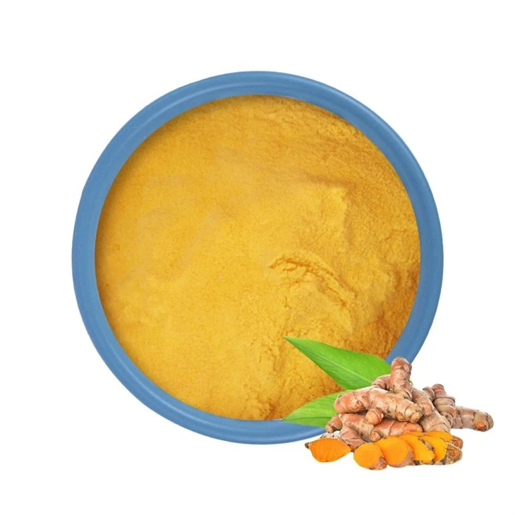 Bulk Curcumin Powder 95