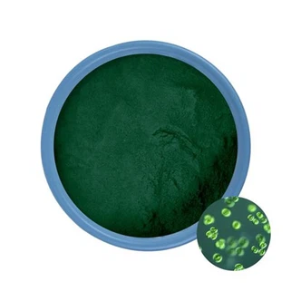 Tuam Tshoj Chlorella Powder Suppliers