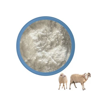 Enterococcus Faeclis